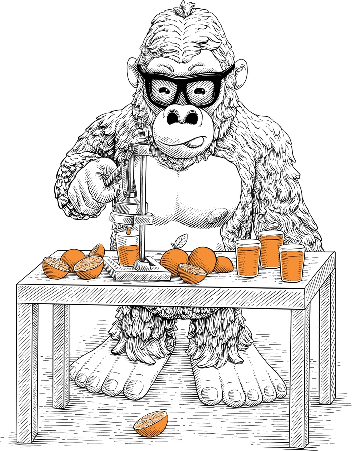 Gorilla working a press, squeezing oranges